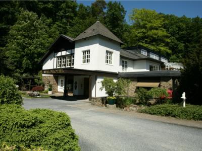 Romantik Waldhotel Mangold Hotel 4*